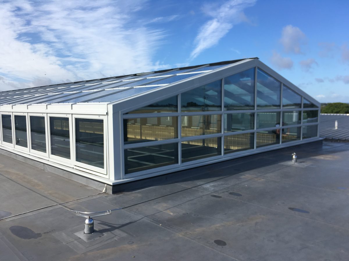 York College Central Atrium Roof Repairs